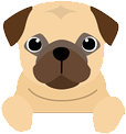 Perrito Pug